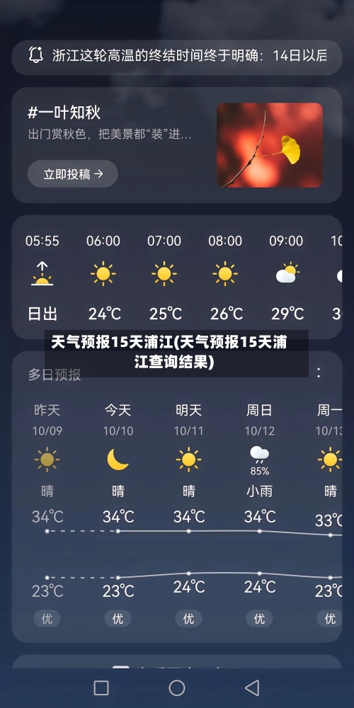 天气预报15天浦江(天气预报15天浦江查询结果)