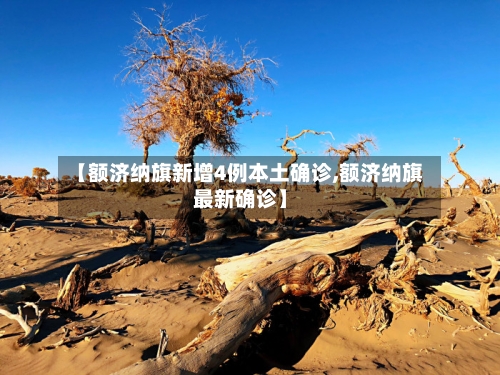 【额济纳旗新增4例本土确诊,额济纳旗最新确诊】