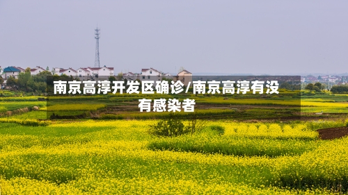 南京高淳开发区确诊/南京高淳有没有感染者