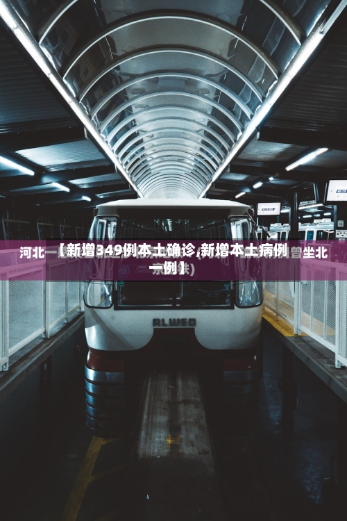 【新增349例本土确诊,新增本土病例一例】