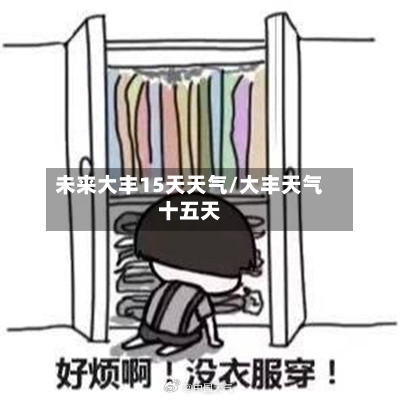 未来大丰15天天气/大丰天气十五天