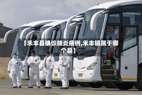 【禾丰县确诊肺炎病例,禾丰镇属于哪个县】