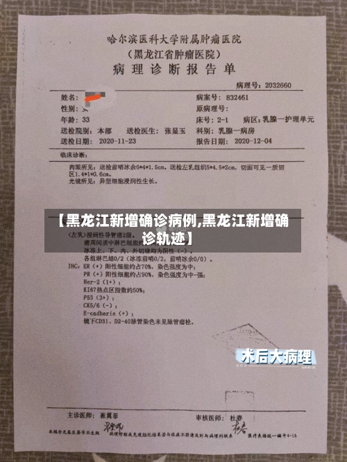 【黑龙江新增确诊病例,黑龙江新增确诊轨迹】