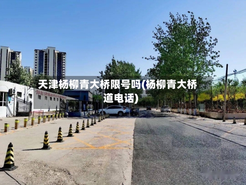 天津杨柳青大桥限号吗(杨柳青大桥道电话)