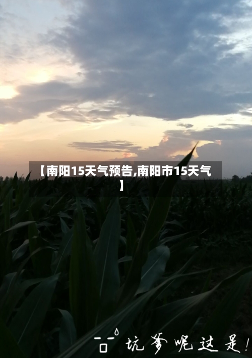 【南阳15天气预告,南阳市15天气】