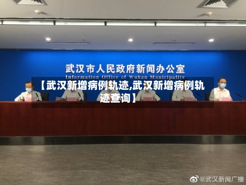 【武汉新增病例轨迹,武汉新增病例轨迹查询】