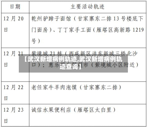 【武汉新增病例轨迹,武汉新增病例轨迹查询】