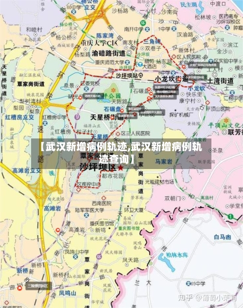 【武汉新增病例轨迹,武汉新增病例轨迹查询】