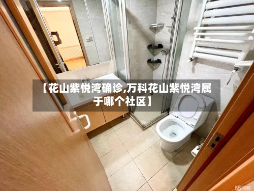 【花山紫悦湾确诊,万科花山紫悦湾属于哪个社区】