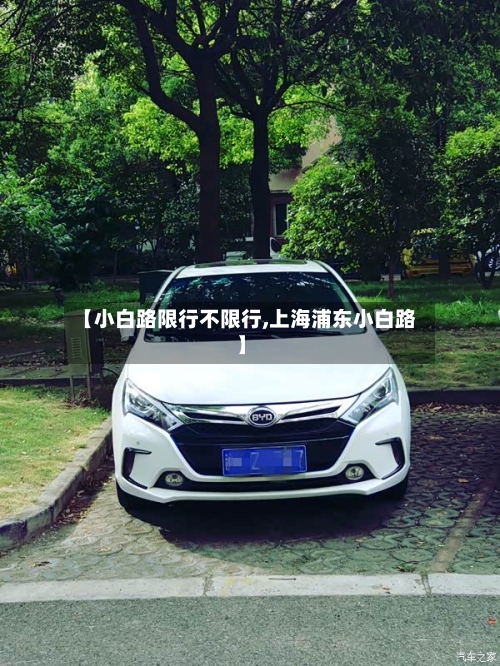 【小白路限行不限行,上海浦东小白路】