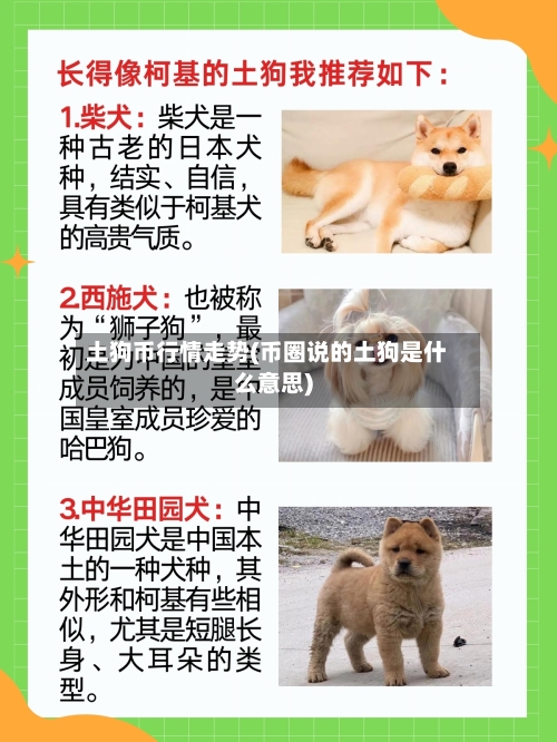 土狗币行情走势(币圈说的土狗是什么意思)