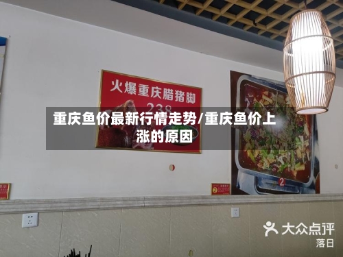 重庆鱼价最新行情走势/重庆鱼价上涨的原因