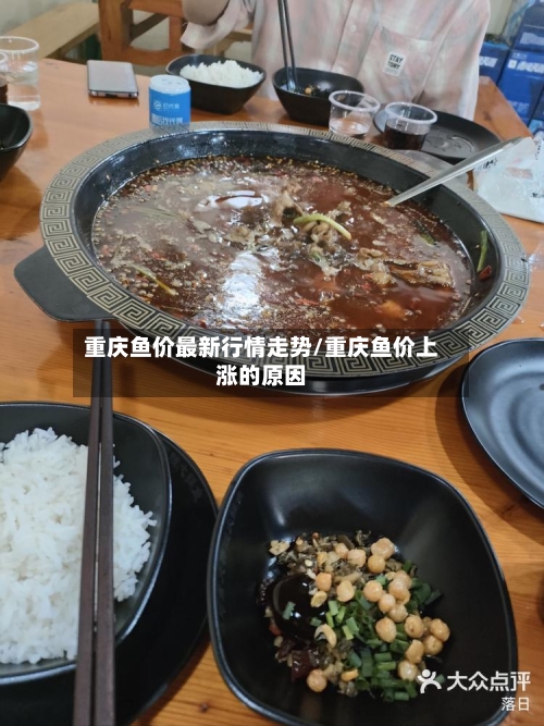重庆鱼价最新行情走势/重庆鱼价上涨的原因