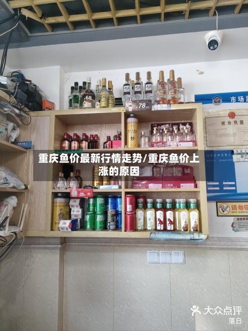重庆鱼价最新行情走势/重庆鱼价上涨的原因
