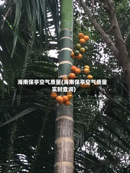 海南保亭空气质量(海南保亭空气质量实时查询)