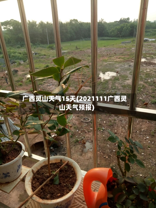 广西灵山天气15天(2021111广西灵山天气预报)