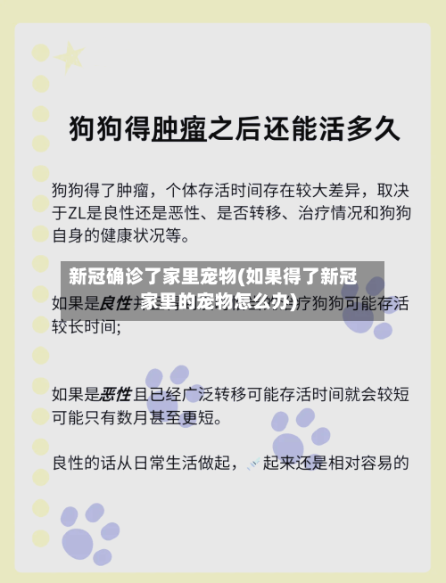 新冠确诊了家里宠物(如果得了新冠家里的宠物怎么办)