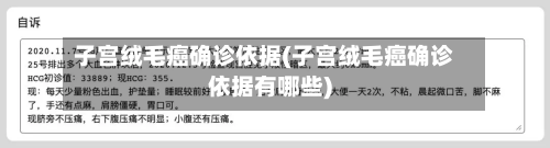 子宫绒毛癌确诊依据(子宫绒毛癌确诊依据有哪些)