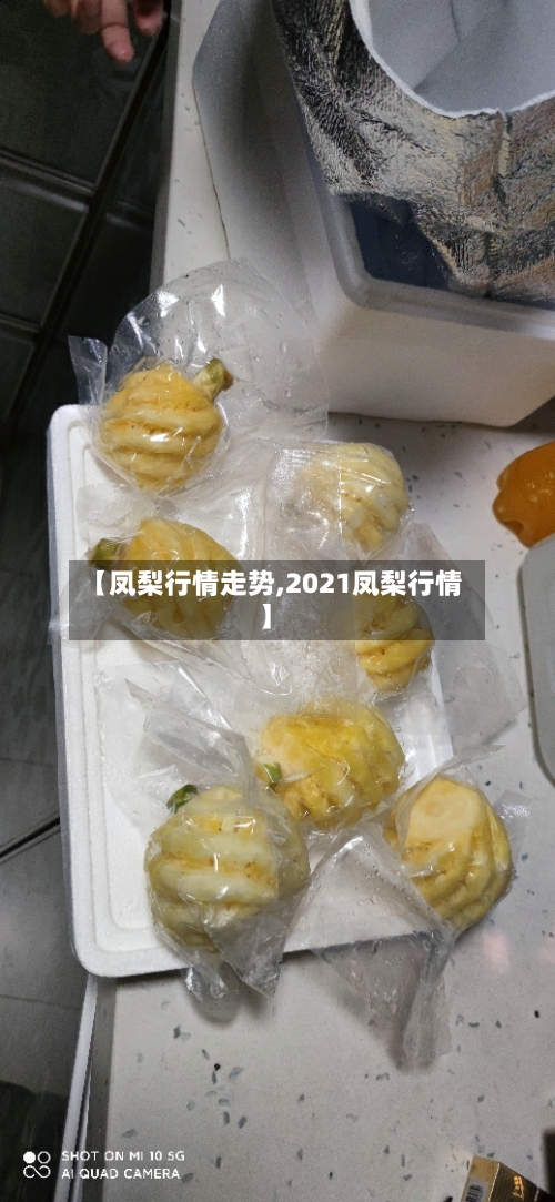 【凤梨行情走势,2021凤梨行情】