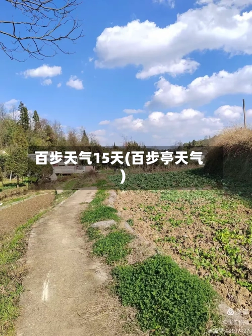 百步天气15天(百步亭天气)