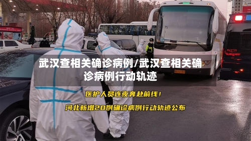 武汉查相关确诊病例/武汉查相关确诊病例行动轨迹