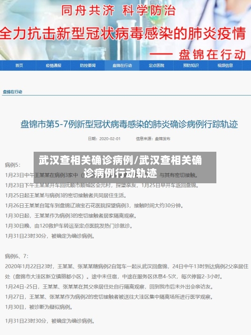 武汉查相关确诊病例/武汉查相关确诊病例行动轨迹