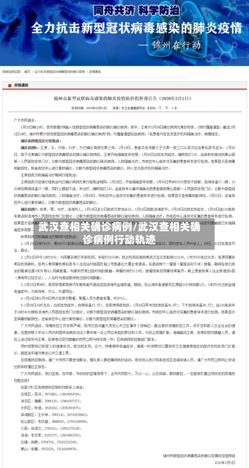 武汉查相关确诊病例/武汉查相关确诊病例行动轨迹