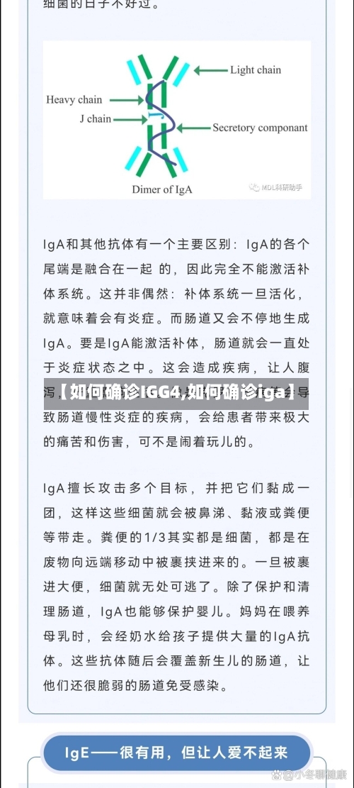【如何确诊IGG4,如何确诊iga】