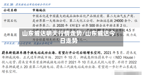 山东威达明天行情走势/山东威达今日走势