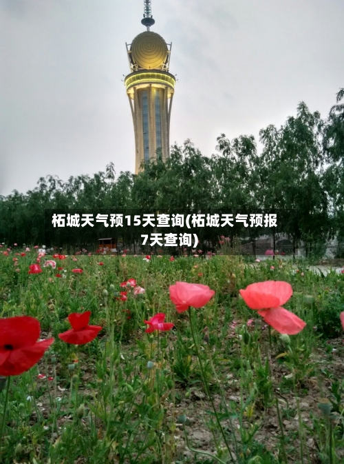 柘城天气预15天查询(柘城天气预报7天查询)