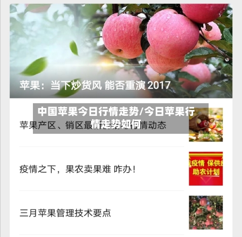 中国苹果今日行情走势/今日苹果行情走势如何
