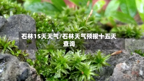 石林15天天气/石林天气预报十五天查询