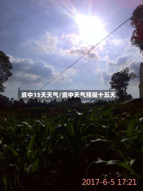 资中15天天气/资中天气预报十五天