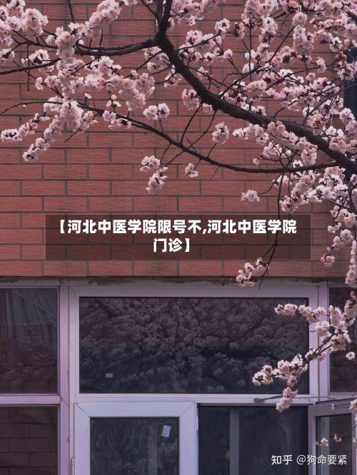 【河北中医学院限号不,河北中医学院门诊】