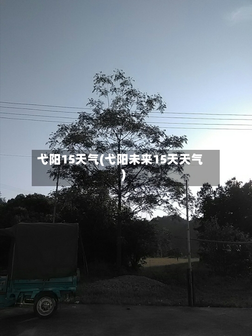 弋阳15天气(弋阳未来15天天气)