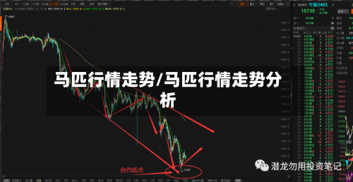 马匹行情走势/马匹行情走势分析