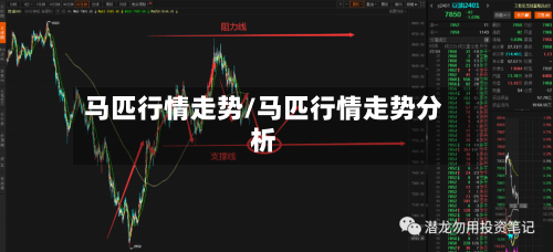 马匹行情走势/马匹行情走势分析