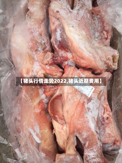 【猪头行情走势2022,猪头近期费用】