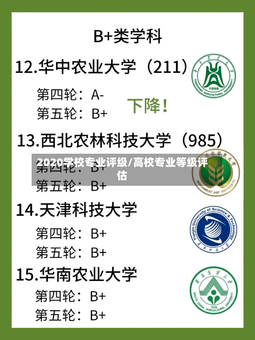 2020学校专业评级/高校专业等级评估