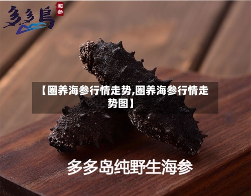 【圈养海参行情走势,圈养海参行情走势图】
