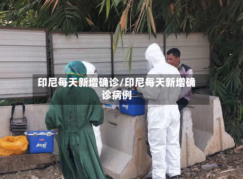 印尼每天新增确诊/印尼每天新增确诊病例