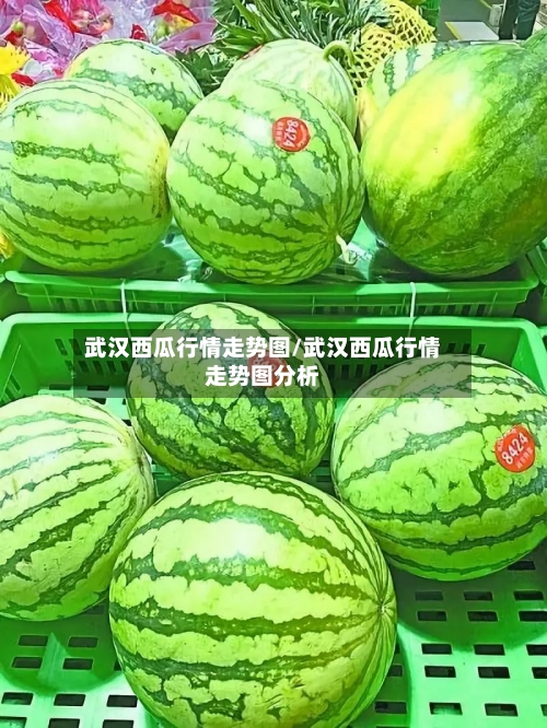 武汉西瓜行情走势图/武汉西瓜行情走势图分析