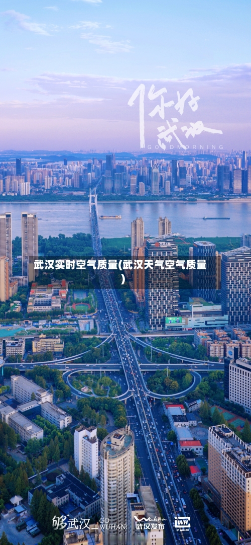 武汉实时空气质量(武汉天气空气质量)
