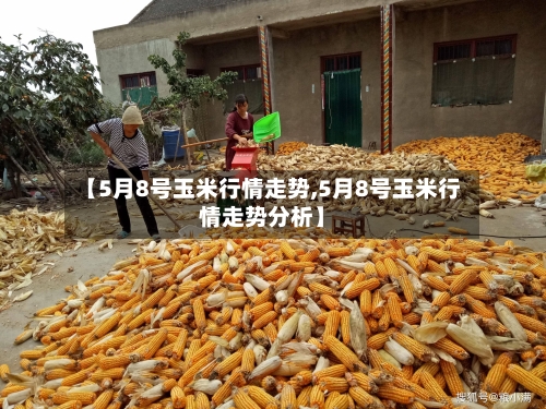 【5月8号玉米行情走势,5月8号玉米行情走势分析】
