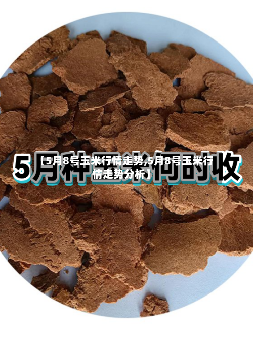 【5月8号玉米行情走势,5月8号玉米行情走势分析】