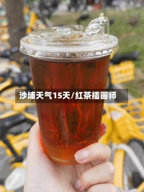 沙埔天气15天/红茶插画师