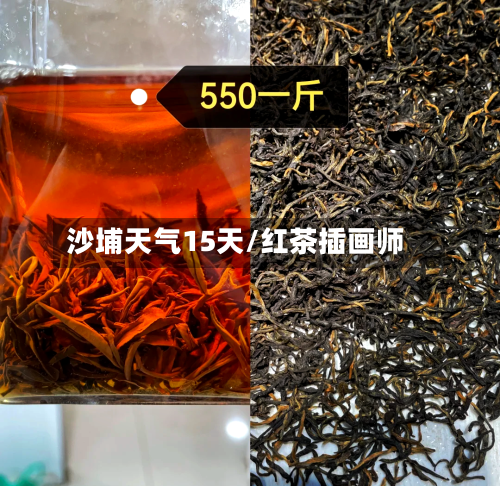 沙埔天气15天/红茶插画师