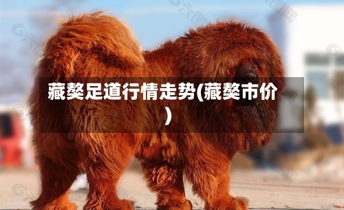 藏獒足道行情走势(藏獒市价)