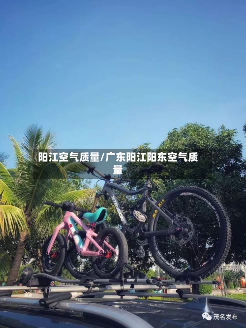 阳江空气质量/广东阳江阳东空气质量
