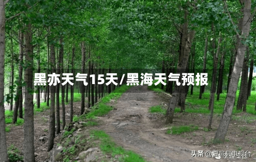 黑亦天气15天/黑海天气预报